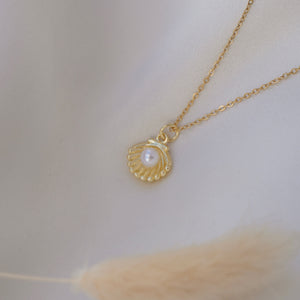 Sea Shell necklace