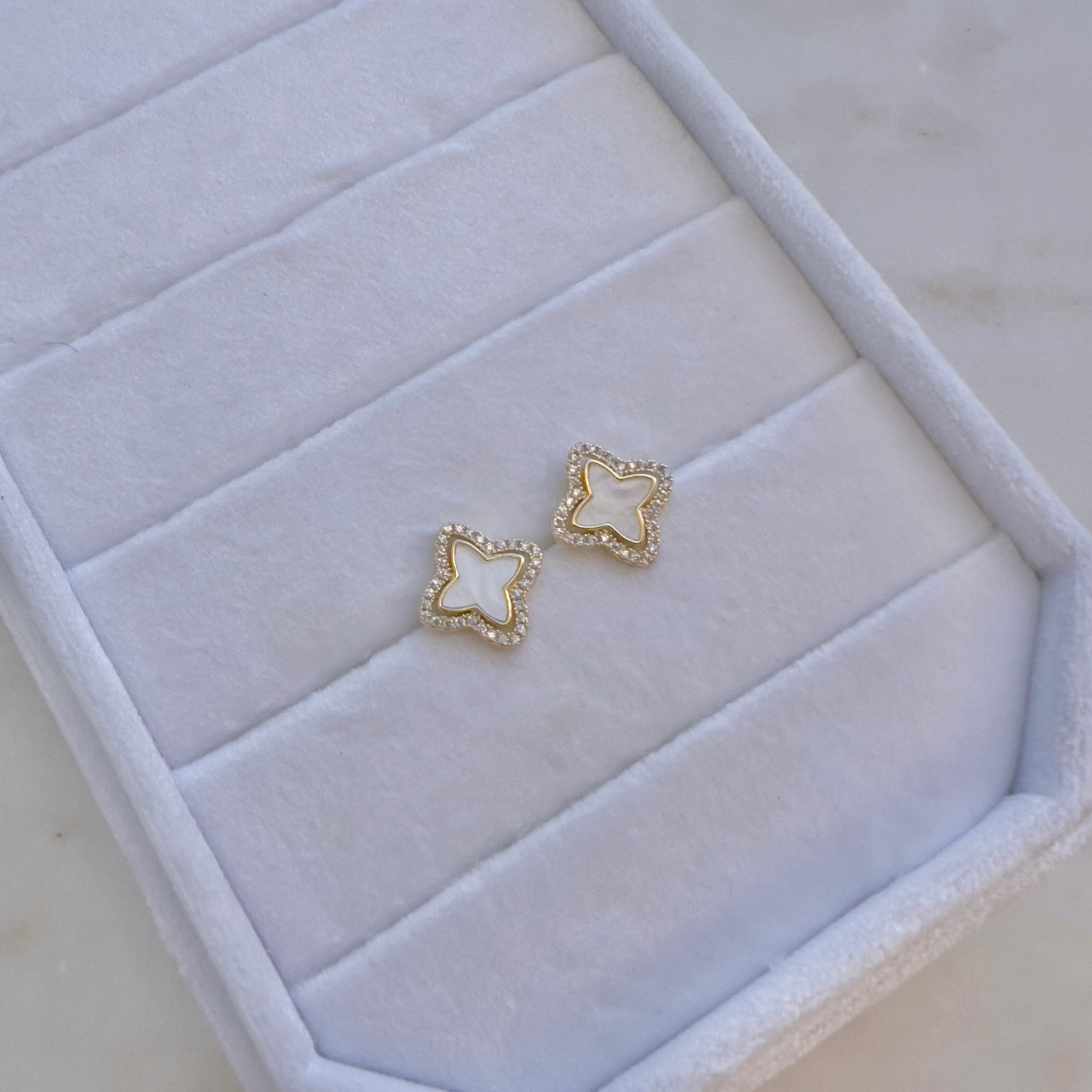 Clove studs