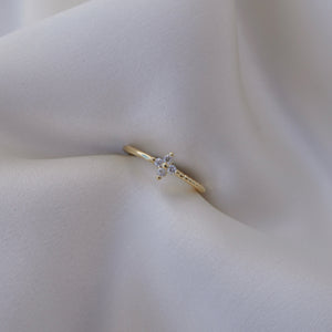 Ambrosia ring